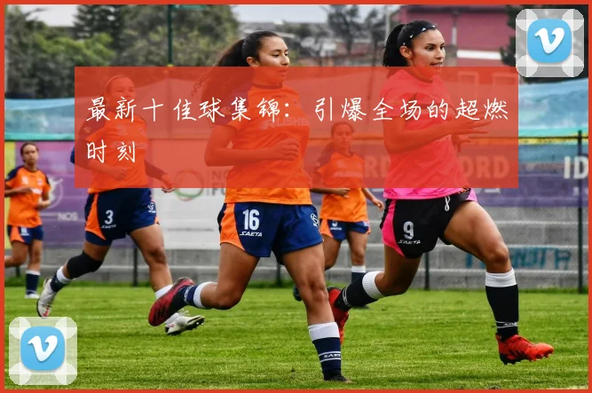 最新十佳球集锦:引爆全场的超燃时刻